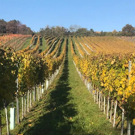 Nocleg ze śniadaniem Weingut & Gaestezimmer Edelmann