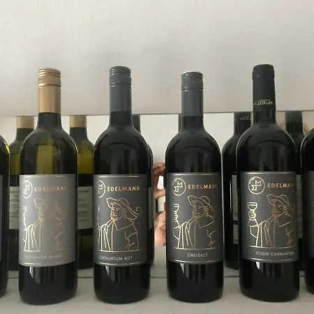 Nocleg ze śniadaniem Weingut & Gaestezimmer Edelmann Göttlesbrunn