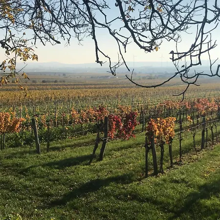 Weingut & Gastezimmer Edelmann
