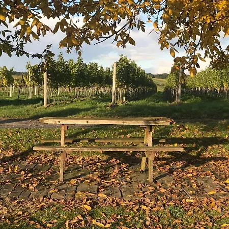 Bed & Breakfast Weingut & Gastezimmer Edelmann