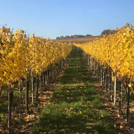 Weingut & Gastezimmer Edelmann