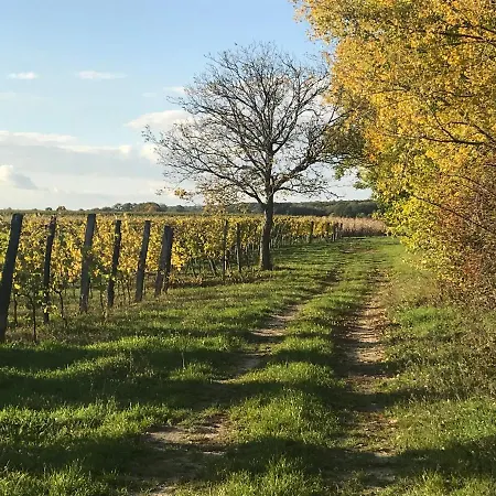Weingut & Gaestezimmer Edelmann Göttlesbrunn