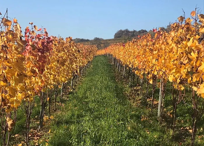 Weingut & Gaestezimmer Edelmann 3*