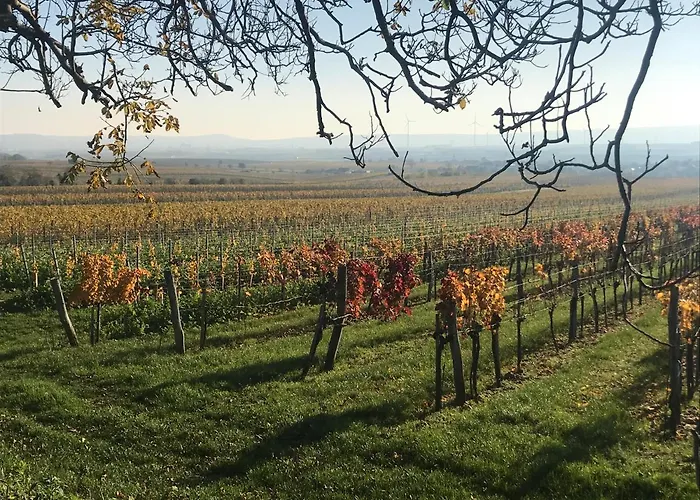 Weingut & Gaestezimmer Edelmann