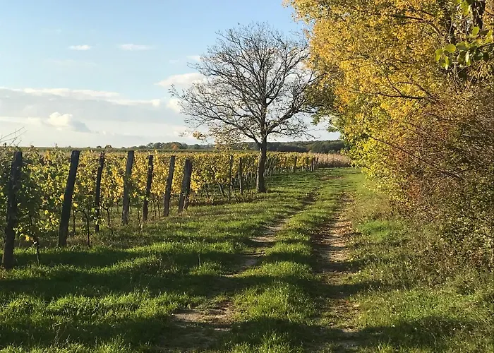 Weingut & Gaestezimmer Edelmann Goettlesbrunn